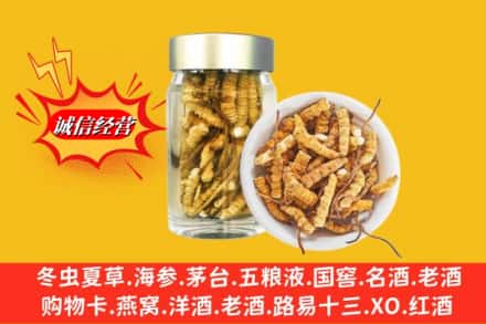 常山县回收散虫草